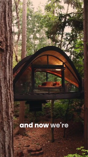 O2 Treehouse builds iconic custom treehouses across the world. For 20...