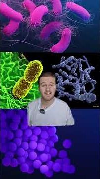 How do bacteria survive in space? #spacetravel #astronauts #nationalspacecentre