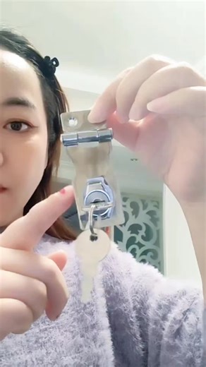 High Quality Self Locking Hasp Lock Review