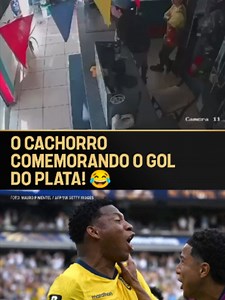 O DOGUINHO FICOU MALUCO! 😂🇪🇨🇩🇪 Gonzalo Plata marcou o gol da classificação do Equador na Copa do Mundo contra a Alemanha e o cachorro quis comemorar junto. #TNTSports2026 📹: Reprodução/Internet#copadomundo #plata #gol