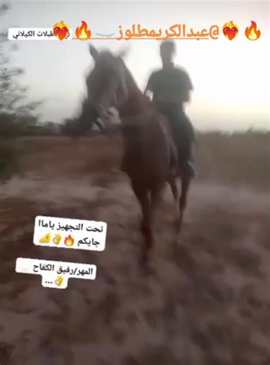 فيديوهات أنشأها Mohammed Dardour (@mohammed.dardour5) باستخدام الصوت الأصلي - Mohammed Dardour