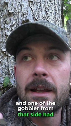 Turkey Hunting: Lessons Learned The Hard Way