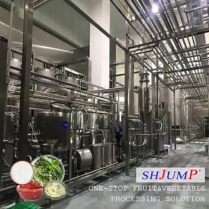[Hot Item] Fruit Sauce Jam Puree Production Processing Line