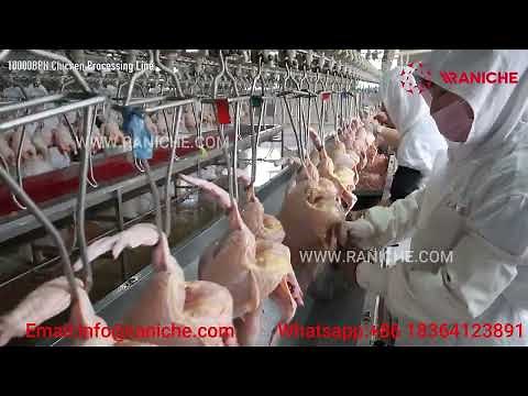 10000 BPH Broiler Chicken Slaughterhouse Poultry Processing Plant Line Slaughter Equipment