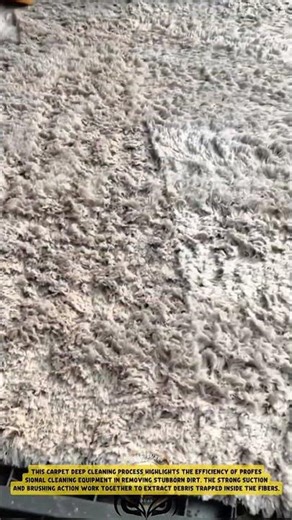 Carpet Water Extraction using Heavy-Duty Water Pusher – Good Tools and Machinery in Daily Work