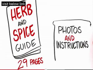 Paleo Diet: Dieting Has Never Been So Delicious Click here: more...