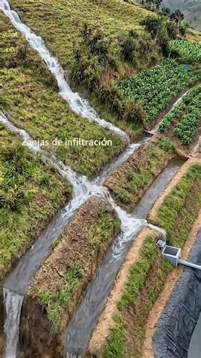 Infiltration trenches allow for rainwater harvesting, erosion reduction, and water management.