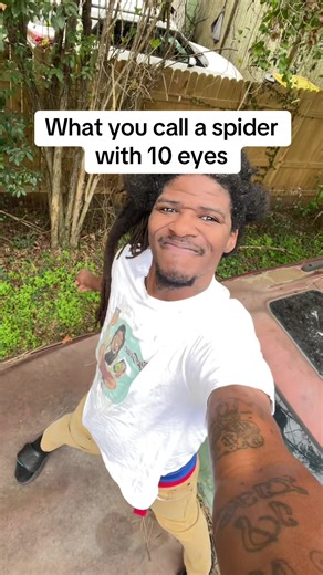 What you call a spider with 10 eyes #bigsenc #howtomake #fypシ゚viral #explorepage #bigsencpissedoff