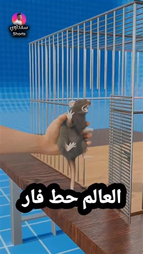 تجربة بسيطة تفسر إدمان الملايين للموبايل!😳