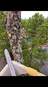 Dropping Tops!! | Shephard's Property Management