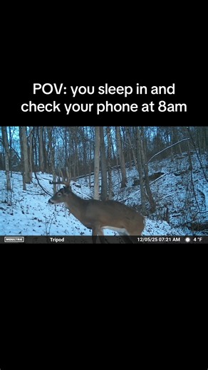 True story #ohio_hunting #hunting #whitetail #ohio #ohiohunting | hunting
