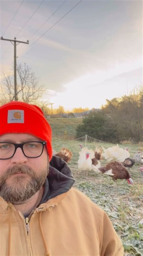 Hey Turkeys | Chill out, these jokes are hilarious 👨🏻‍🌾❄️☃️⛄️🤣🦃 #cold #comedy #frost #nature #outdoors #turkey #birds #farm #dadjokes | Instagram