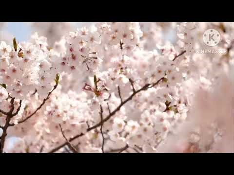 quitting weed - subliminal