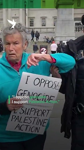 Police arrest hundreds at London pro Palestine march