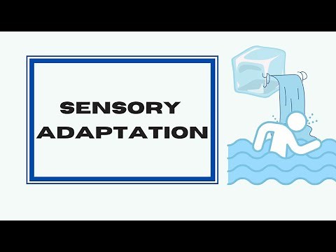 Sensory adaptation psychology | Sensory adaptation example.