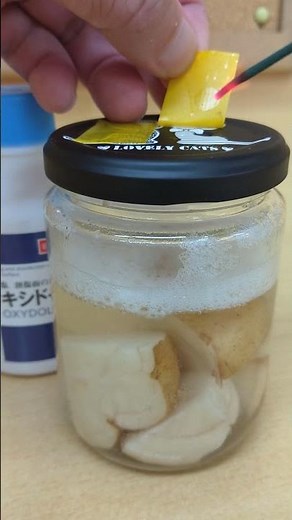 酸素の発生（じゃがいもとオキシドール）get oxygen from hydrogen peroxide water and potato #shorts #実験 #science #科学