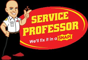 Furnace & Heating Services West & Southwest Michigan' | Service Professor