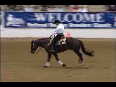 Steve Simon Reining Horses (Custom lengend) score: 235 1/2