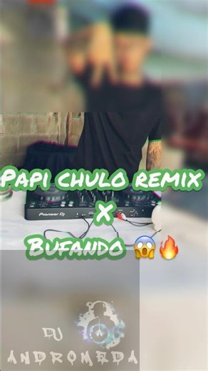Papi chulo remix 👻🔥🎶 reggae mexa 😎🎶 #dj #pioneerdj #fypシ゚viral #reggaeton #malilla #musica #fly