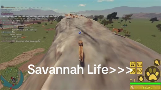 Savannah Life: Exploring the Lion's Habitat