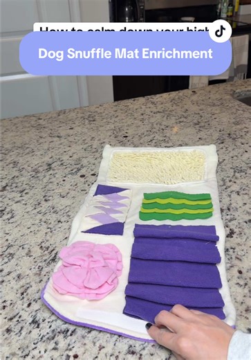 High Energy Dog Training: Snuffle Mat Techniques