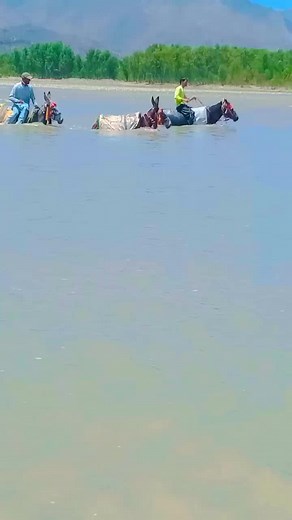 Exploring Nature on Donkeys: A Unique Water Adventure