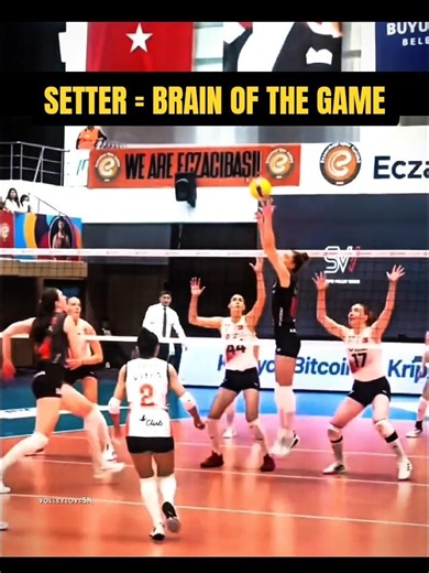 Setter - brain of the game 🧠🔥 [subscribe] #haikyuu #volleyball #setter #edit