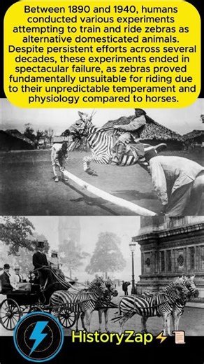 When Humans Tried Riding Zebras: The Failed 1890-1940 Experiments 🎪