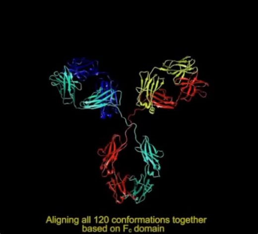 How NMR can improve antibody design | Changyun H. posted on the topic | LinkedIn