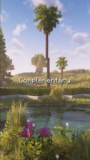 THESE ARE THE BEST MINECRAFT SHADERS YOU CAN USE TODAY