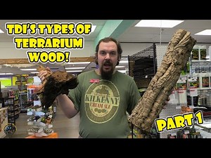Cork Bark, Mopani Wood, & More! - TDI's Top 8 Types of Terrarium & Aquarium Wood! (Part 1) 🌳