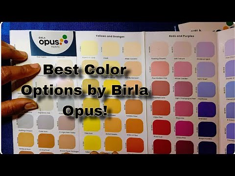 Opus Paints Color Catalogue: Full Review & Best Shades!