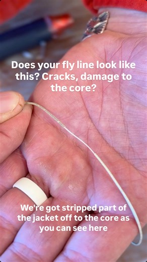 RestorLine on Instagram: "Still got prime fishing days ahead, but does your fly line look like this? Cracked coating, exposed core, or damage from hard fishing conditions? Don’t replace that expensive line just yet. LineSPLICE is the fast, reliable fix that gets you back on the water and extends your gear’s lifespan, so you can focus on chasing trophy fish, not your equipment.#flylinerepair #flyfishing #fishinggear #madeintheusa #earthfriendlyproducts #restorline #outdoors"