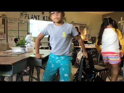 3rd Grade ELA Lesson