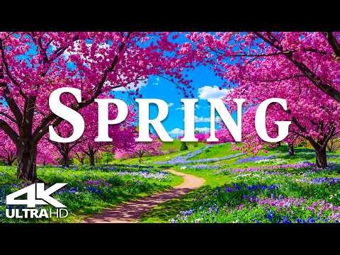 Spring Reborn in 4K 🌸 Blooming Landscapes, Gentle Light & Peaceful Piano Calm | Video 4K UHD