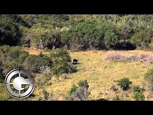 South Africa Bushbuck hunt with Kregg Thomassen