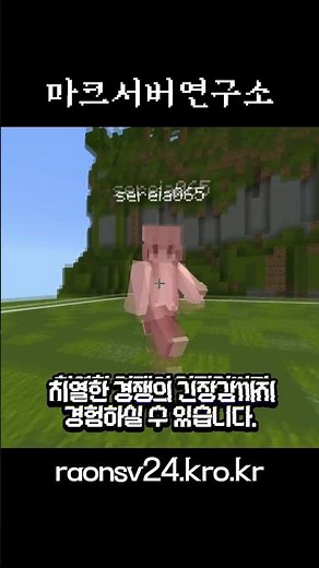 베드락에디션 국내 No.1 PVP 서버