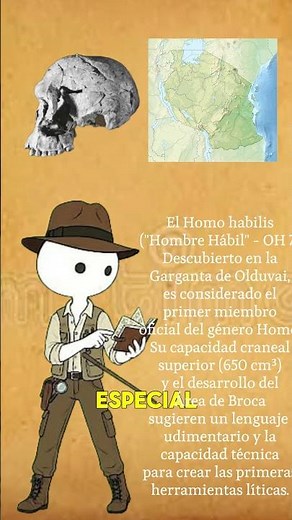 EL HOMO HABILIS Y EL COMIENZO DE LA EDAD DE PIEDRA #aprender #curiosidadeshistoricas #historia