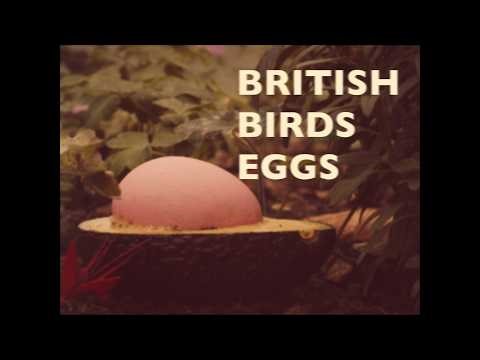 Trade Test Transmission - The Curious Child