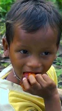 Paren todo! Lo que estabas esperando ya tiene nombre: Punto Cero Mundo