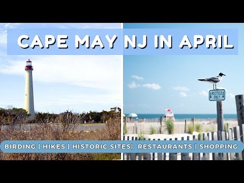 Cape May Off Season Vlog | Birding in Cape May, Hikes, Lighthouses, Historic Sites, and more!