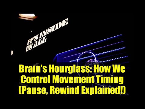 Brain's Hourglass: How We Control Movement Timing (Pause, Rewind Explained!)