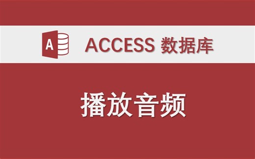 播放音频 Access数据库功能模块讲解 VBA代码实例