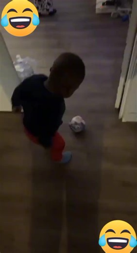 Video de videos graciosos (@videos_graciosos390) relacionado con “funny animals”