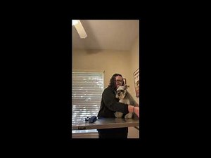 Penn Foster Vet Tech Externship Skill 10