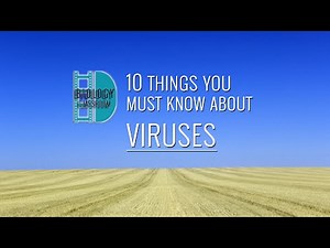 A-Level Biology - 10 things you have to know about viruses