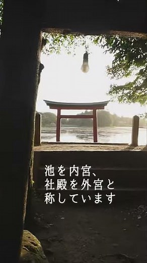 龍神様のご加護で開運金運向上【薦神社】大分パワースポット #shorts