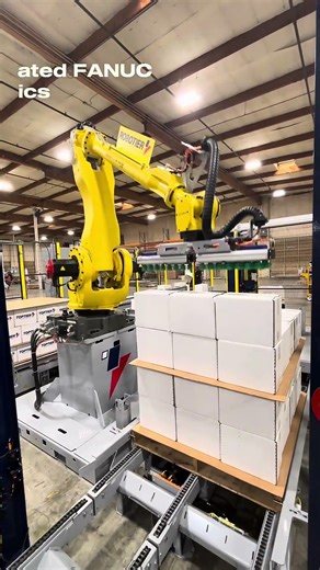 Robotier handling two production lines simultaneously.