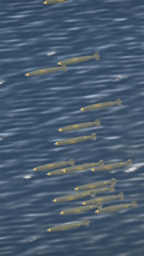 Massive Yamato battleship vs incoming aircraft #shorts #gaming #viral