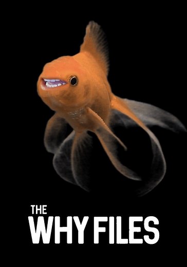 The Why Files Season 7 - watch episodes streaming online